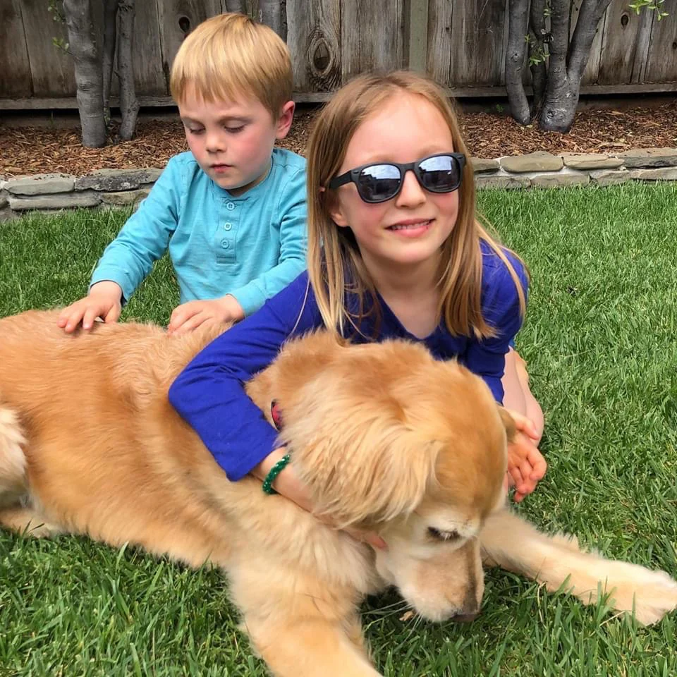 Bueller Shades | Junior - Image 15