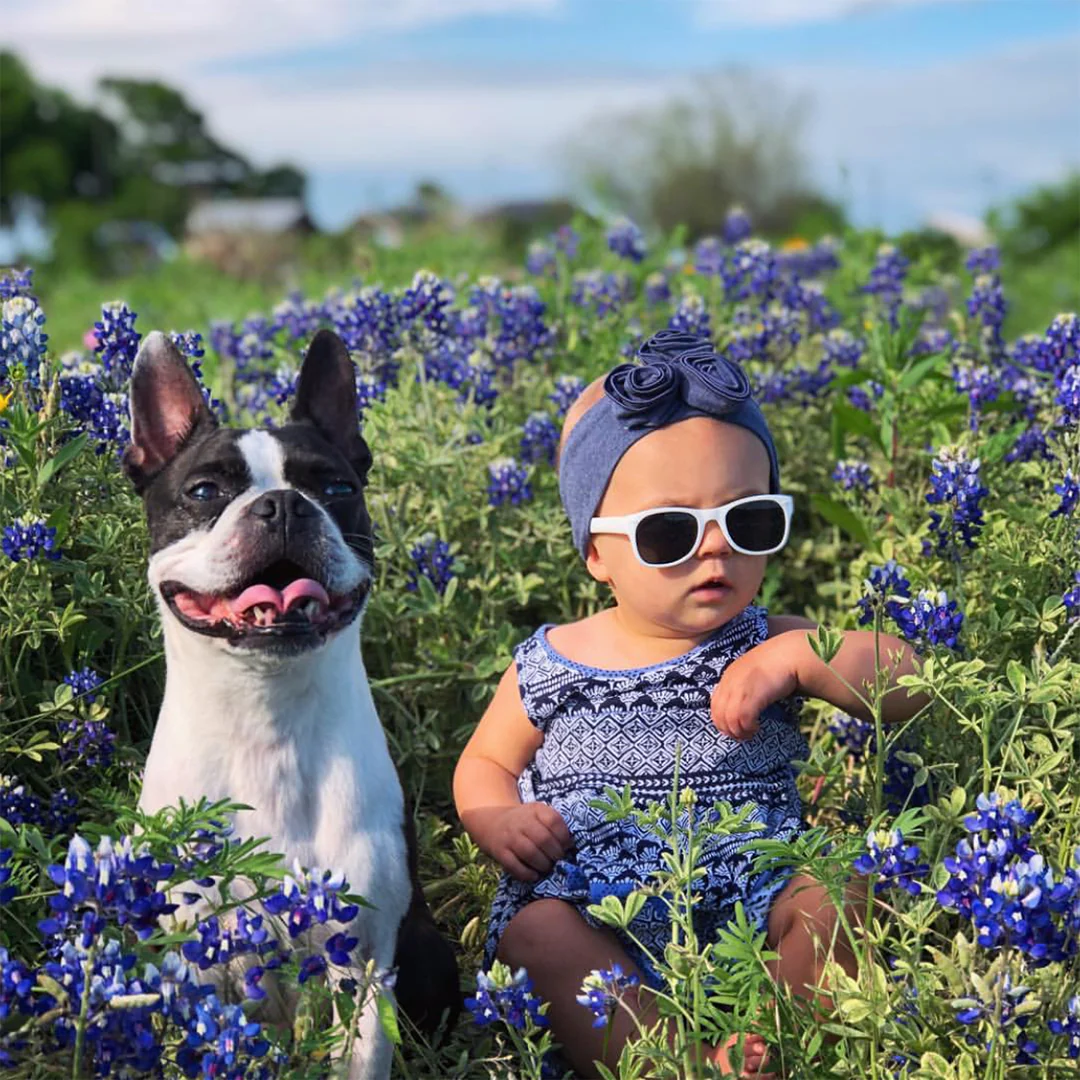 Ice Ice Baby Shades | Baby - Image 17